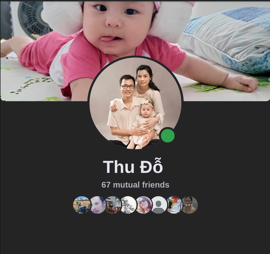 Thu Đỗ Facebook Profile (Mobile)